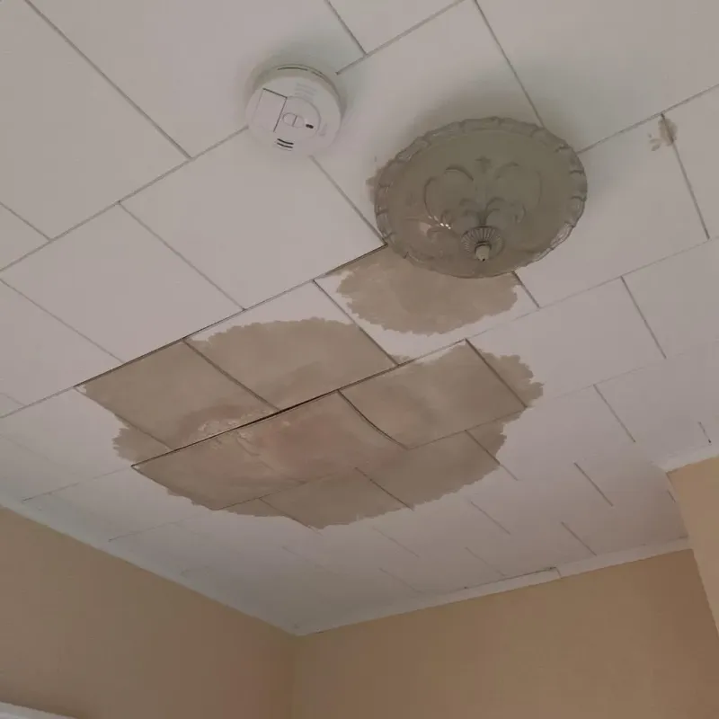 Ceiling Water Damage Repair in Larimer County, CO