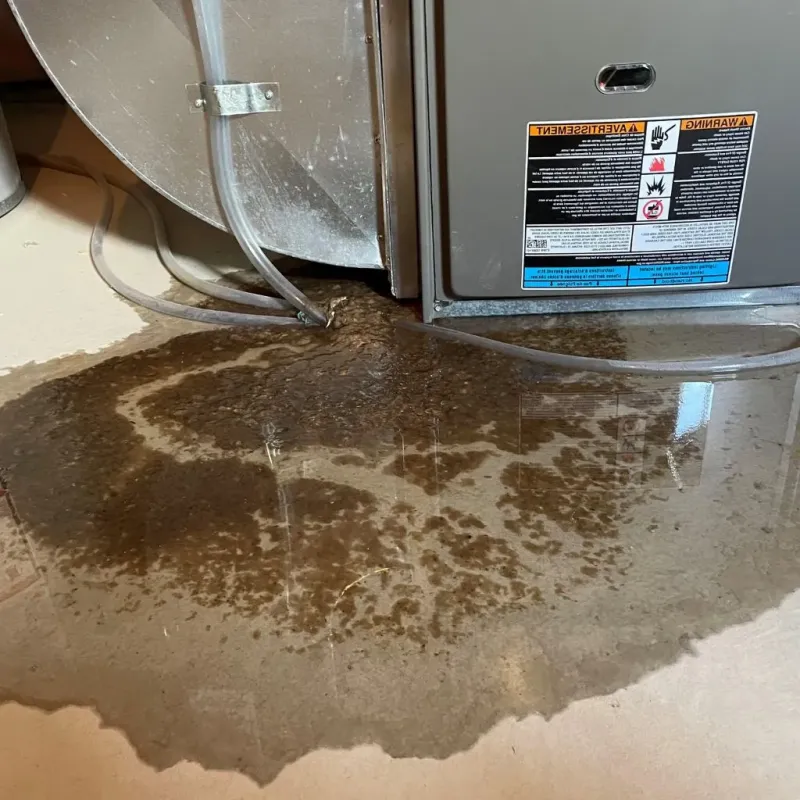 Pipe Burst and Leak Restoration in Larimer County, CO